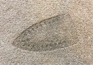 رفع لکه‌های سوختگی فرش و موکت