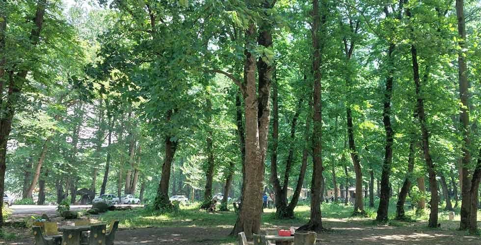 جاذبههای گردشگری چالوس
