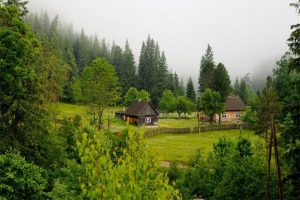 بهترین شهر گیلان برای خرید زمین